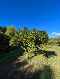 foto44
