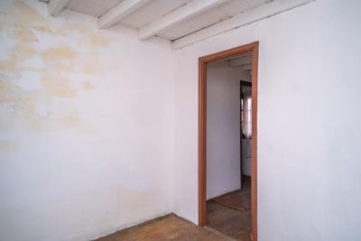 foto35