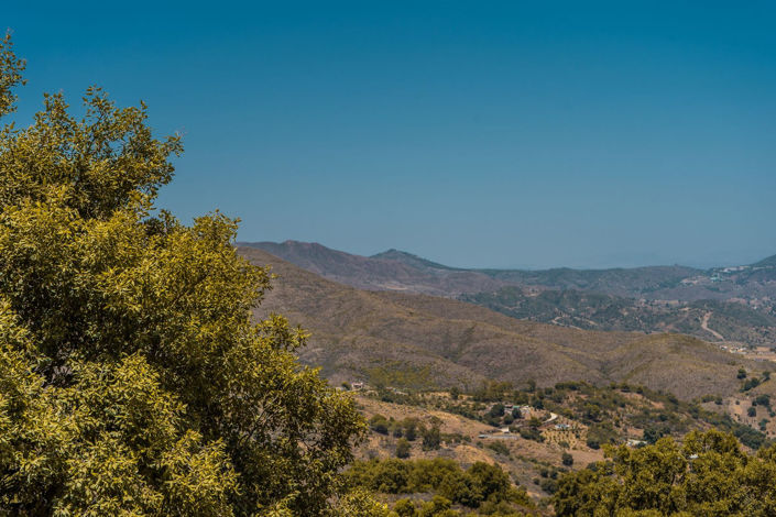 Image No.29-Appartement de 3 chambres à vendre à La Mairena