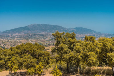 7-aa4cc561180b369757c0bb4af9886cd3