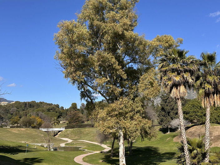 Image No.9-4 Bed Townhouse for sale