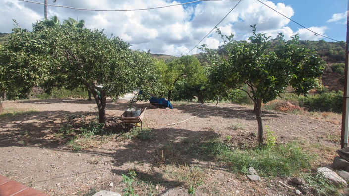 Image No.19-3 Bed Finca for sale