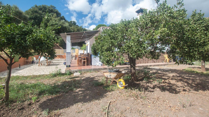 Image No.20-3 Bed Finca for sale