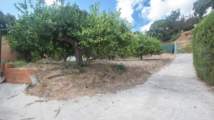 Image No.23-3 Bed Finca for sale