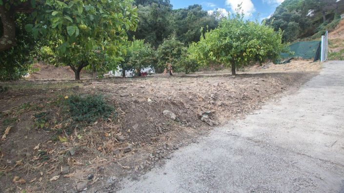 Image No.24-3 Bed Finca for sale