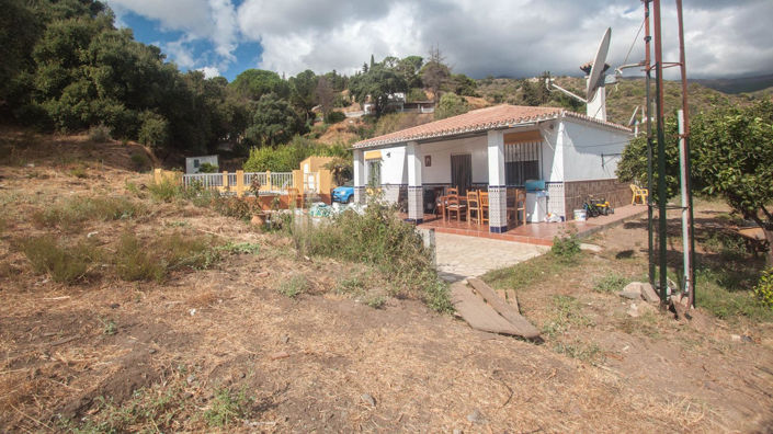 Image No.3-3 Bed Finca for sale