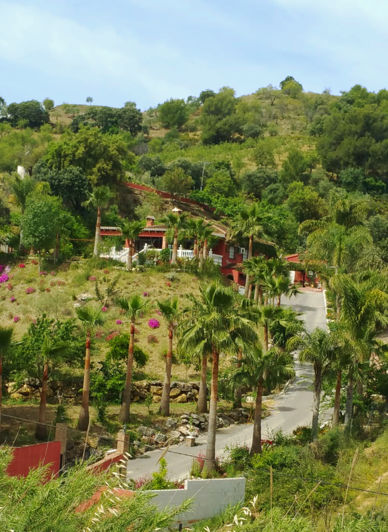 Image No.23-5 Bed Finca for sale