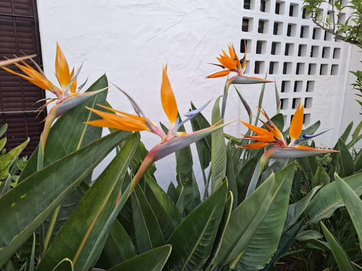 Image No.37-3 Bed Apartment for sale