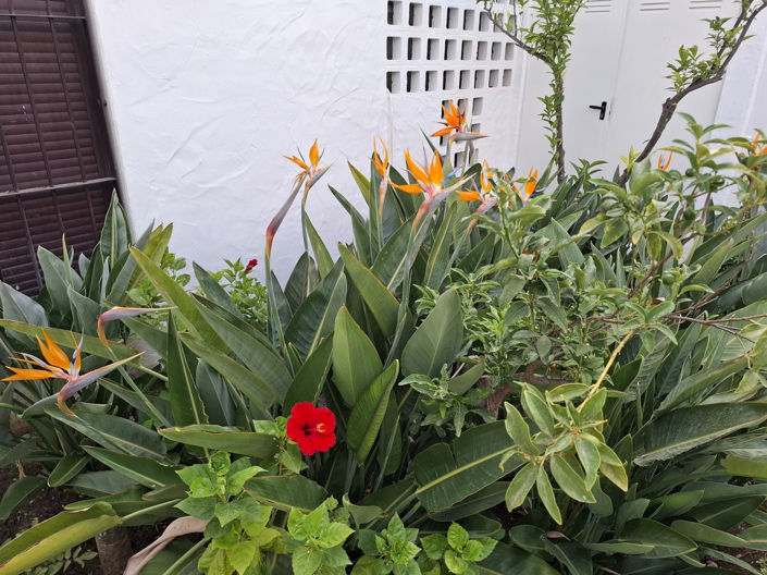 Image No.38-3 Bed Apartment for sale