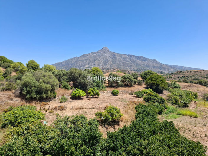 Image No.36-2 Bed Apartment for sale