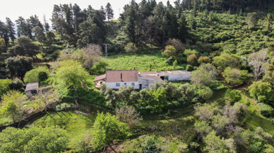 1-7980e48d732b6fc85c14b43b94d2aa54