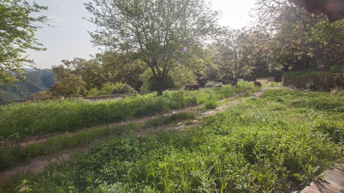 Image No.11-Finca de 3 chambres à vendre à Gaucin