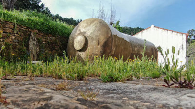 13-5fd73dea700db77384c091ca9818b1a9