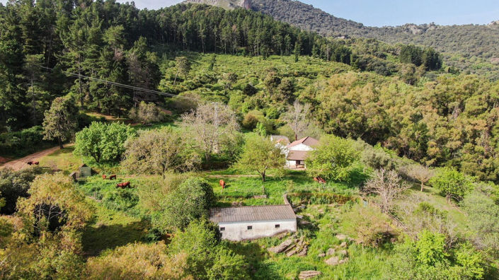 Image No.14-3 Bed Finca for sale