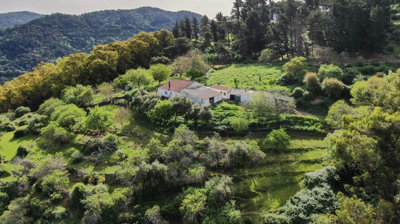 15-11d12f2f454f2f5e9b981fdd8b901d51