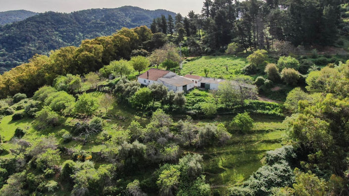 Image No.15-Finca de 3 chambres à vendre à Gaucin