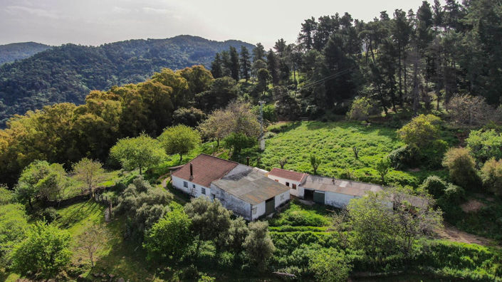Image No.16-Finca de 3 chambres à vendre à Gaucin
