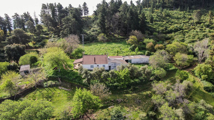 Image No.2-3 Bed Finca for sale