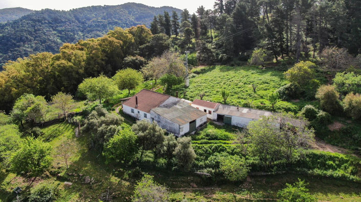 Image No.4-3 Bed Finca for sale