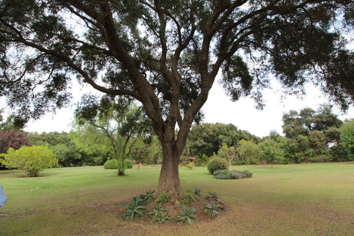 Image No.46-Villa de 5 chambres à vendre à Malaga