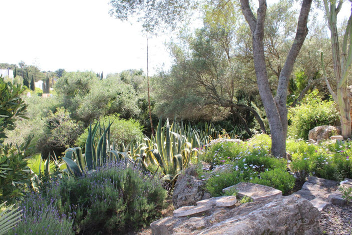 Image No.11-5 Bed Villa for sale