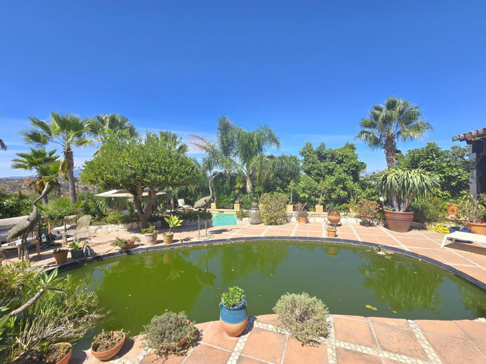 Image No.15-6 Bed Finca for sale