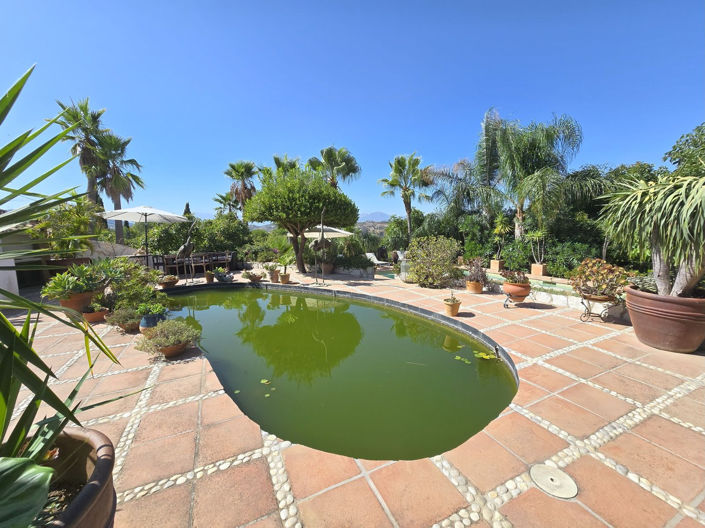 Image No.39-6 Bed Finca for sale