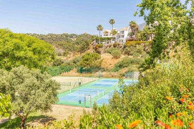 12-53013098fcab6c38b1379cd33298e050