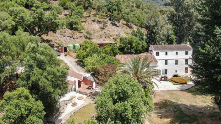 Image No.3-6 Bed Finca for sale