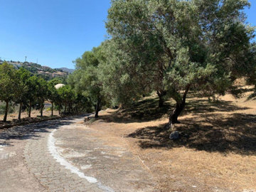 1-7980e48d732b6fc85c14b43b94d2aa54