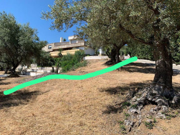 2-5bd7b9d04b45e33852eaf0ec6670150d