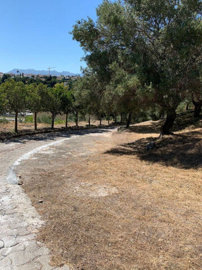 4-c23c0f86247804fa50226aecd8b0b2c8