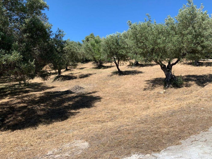 Image No.5-Propriété à vendre à Elviria