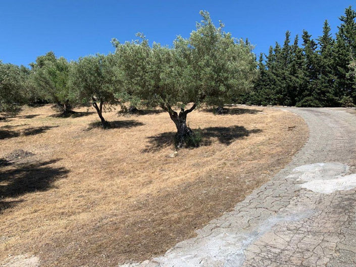 Image No.6-Propriété à vendre à Elviria