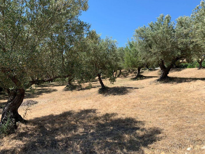 Image No.7-Propriété à vendre à Elviria