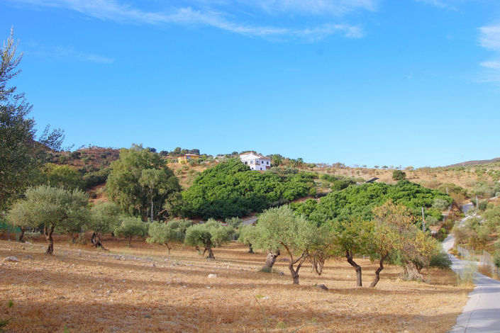 Image No.10-5 Bed Finca for sale