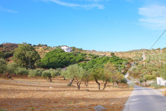 Image No.7-5 Bed Finca for sale