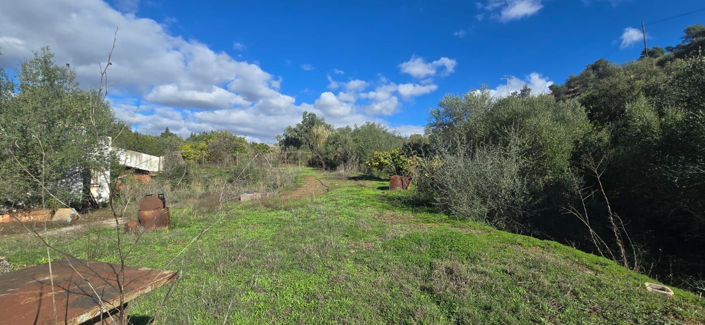 Image No.2-2 Bed Finca for sale