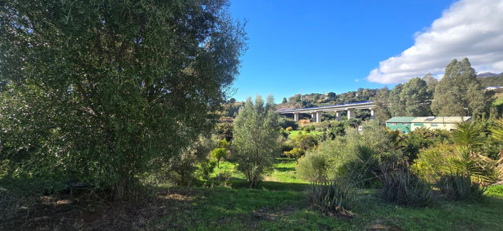 Image No.3-2 Bed Finca for sale