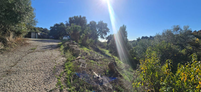 Image No.5-2 Bed Finca for sale