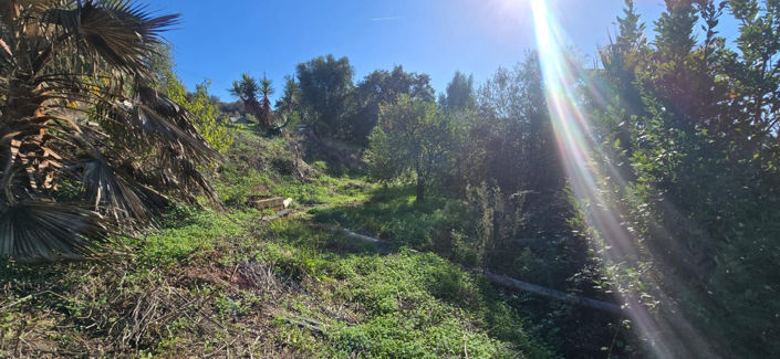 Image No.6-2 Bed Finca for sale