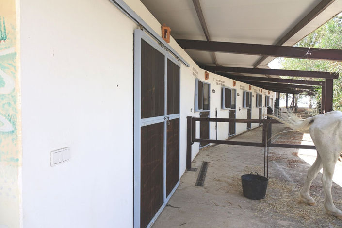 Image No.23-4 Bed Villa for sale