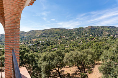 12-53013098fcab6c38b1379cd33298e050