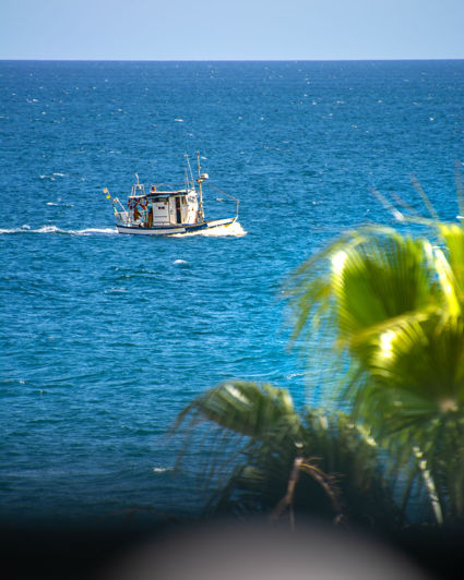 Image No.25-3 Bed Apartment for sale