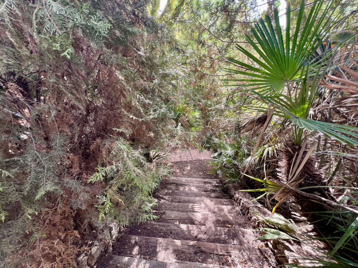 Image No.37-Villa de 8 chambres à vendre à Mijas Golf