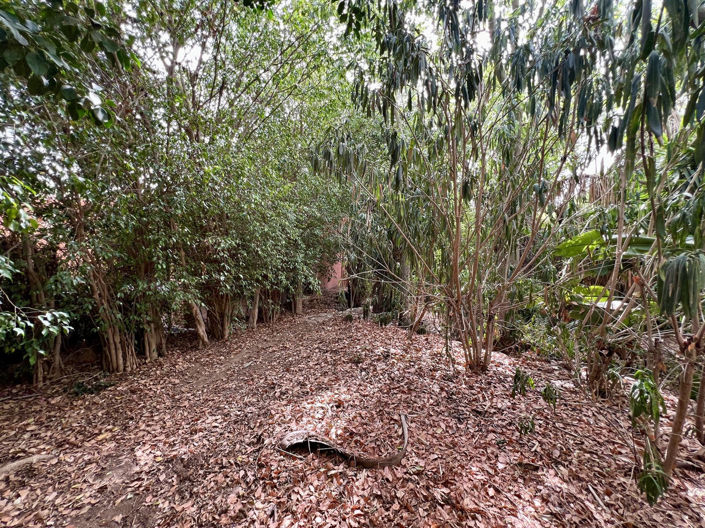 Image No.38-Villa de 8 chambres à vendre à Mijas Golf