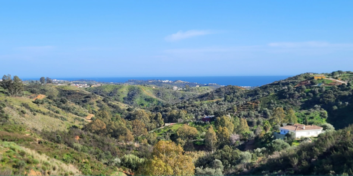 Image No.5-5 Bed Villa for sale