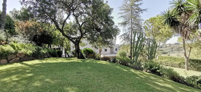 12-53013098fcab6c38b1379cd33298e050