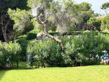 9-467d0cee5b725f3ef65f102a0c2e69c0