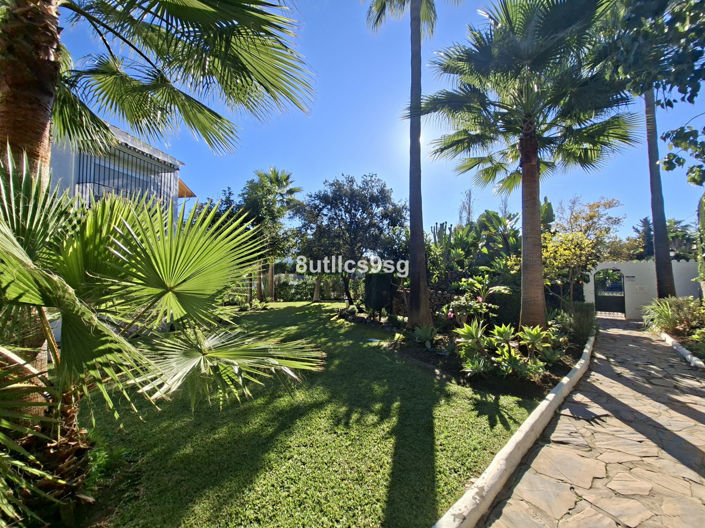 Image No.45-3 Bed Apartment for sale